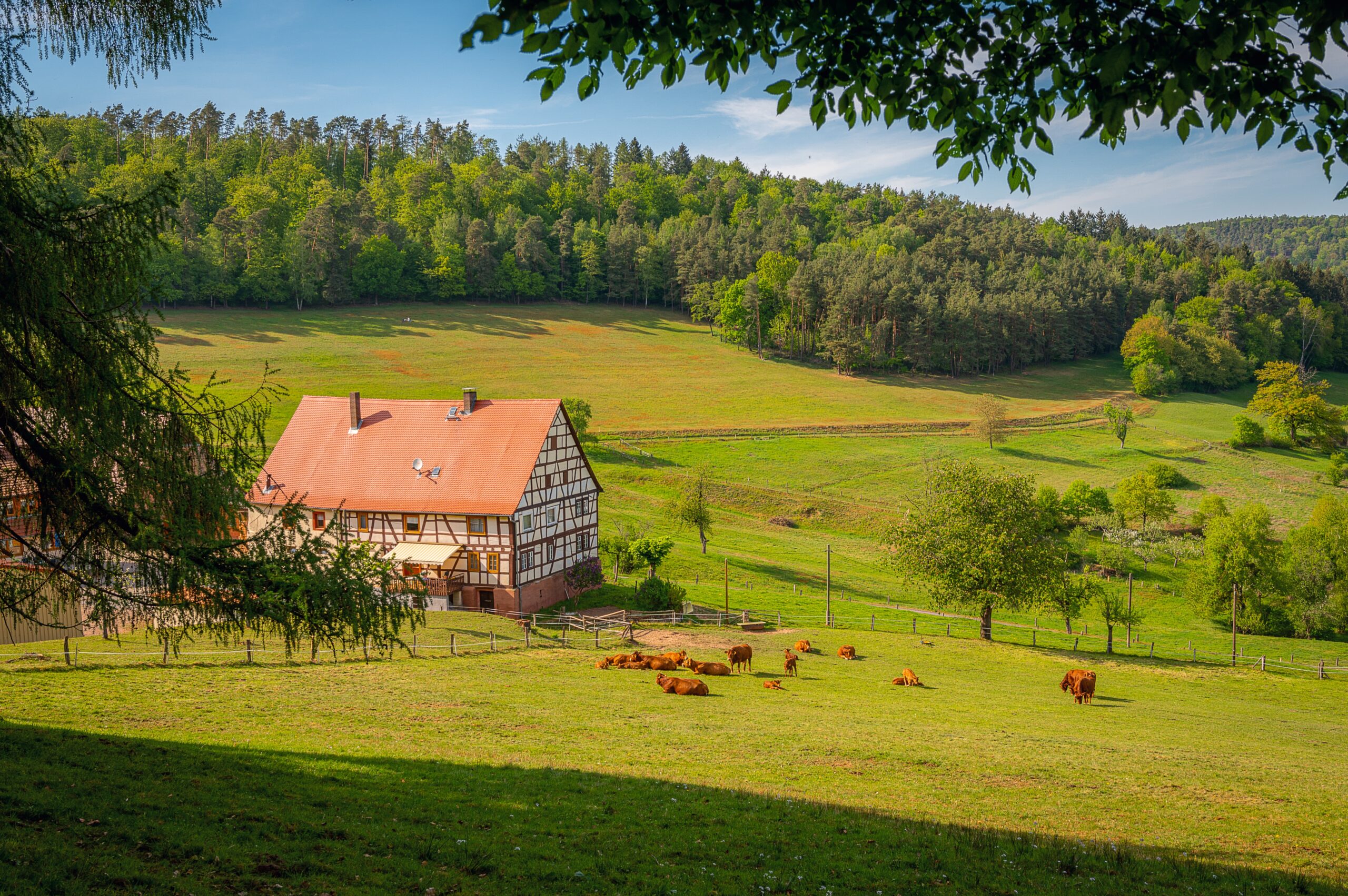 Embracing Serenity: The Charm of Countryside Farm Houses